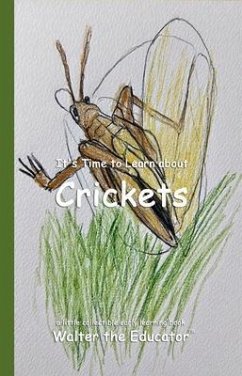 Cover It's Time to Learn about Crickets (eBook, ePUB)