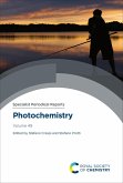 Photochemistry (eBook, ePUB)