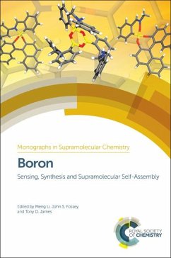 Cover Boron (eBook, ePUB)