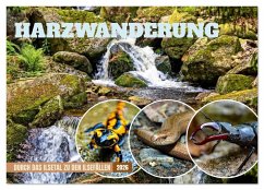 Harzwanderung-Durch das Ilsetal zu den Ilsefällen (Wandkalender 2026 DIN A2 quer), CALVENDO Monatskalender Harzwanderung-Durch das Ilsetal zu den Ilsefällen (Wandkalender 2026 DIN A2 quer), CALVENDO Monatskalender