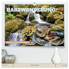 Harzwanderung-Durch das Ilsetal zu den Ilsefällen (hochwertiger Premium Wandkalender 2026 DIN A2 quer), Kunstdruck in Hochglanz Harzwanderung-Durch das Ilsetal zu den Ilsefällen (hochwertiger Premium Wandkalender 2026 DIN A2 quer), Kunstdruck in Hochglanz