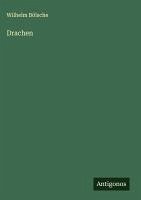 Cover Drachen