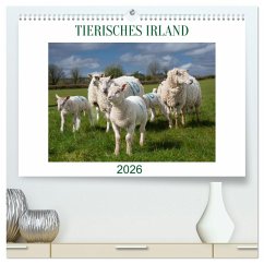 Cover Irland erleben - Wo Schafe, Pferde und Kühe das Landschaftsbild prägen (hochwertiger Premium Wandkalender 2026 DIN A2 quer), Kunstdruck in Hochglanz