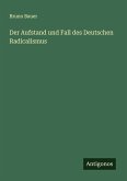 Der Aufstand und Fall des Deutschen Radicalismus
