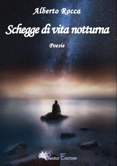Schegge di vita notturna Cover Schegge di vita notturna