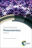 Photochemistry (eBook, ePUB)