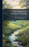 The Saratoga Mineral Waters