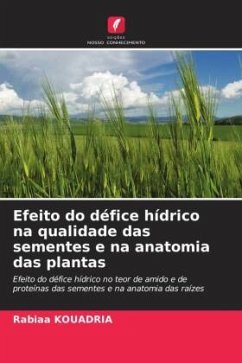Cover Efeito do défice hídrico na qualidade das sementes e na anatomia das plantas