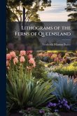 Lithograms of the Ferns of Queensland Lithograms of the Ferns of Queensland