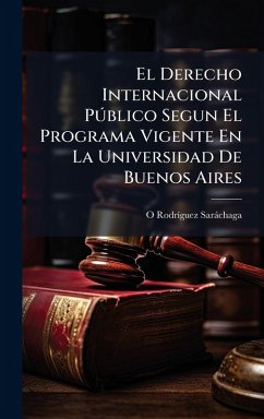 Cover El Derecho Internacional PÃ°blico Segun El Programa Vigente En La Universidad De Buenos Aires