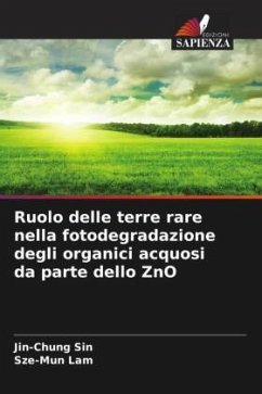 Cover Ruolo delle terre rare nella fotodegradazione degli organici acquosi da parte dello ZnO
