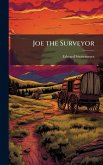 Joe the Surveyor