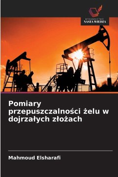 Cover Pomiary przepuszczalno¿ci ¿elu w dojrza¿ych z¿o¿ach