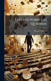 Estudio Sobre Las Quiebras