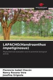 LAPACHO(Handroanthus impetiginosus)
