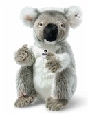 Steiff 067693 - Colo Koala, Plüsch, 29 cm
