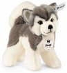 Steiff 104985 - Bernie Husky, stehend,... - Bild 1