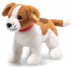 Steiff 067082 - Snuffy Hund, stehend, braun/weiß, Plüsch, 27 cm