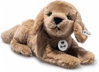 Steiff 076886 - Lenny Labrador, liegend, braun, Plüsch, 23 cm Steiff 076886 - Lenny Labrador, liegend, braun, Plüsch, 23 cm