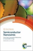 Semiconductor Nanowires (eBook, ePUB)