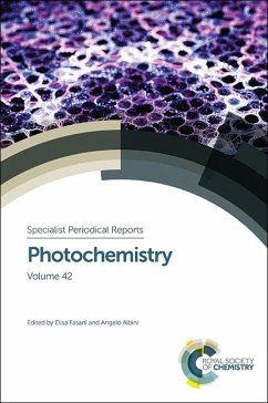 Photochemistry (eBook, ePUB)