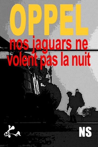 Nos jaguars ne volent pas la nuit (eBook, ePUB)