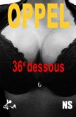 36e dessous (eBook, ePUB) 36e dessous (eBook, ePUB)