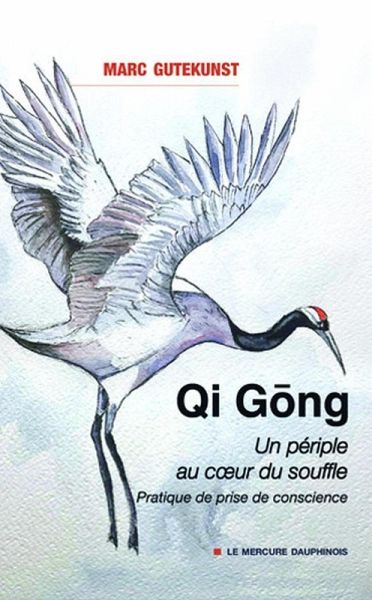 Qi Gong - Un périple au coeur du souffle - Pratique de prise de conscience (eBook, ePUB)