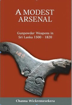 Cover A Modest Arsenal (eBook, ePUB)