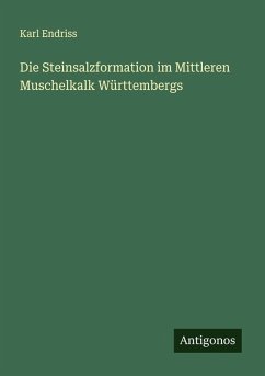 Cover Die Steinsalzformation im Mittleren Muschelkalk Württembergs