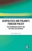 Geopolitics and Poland's Foreign Policy