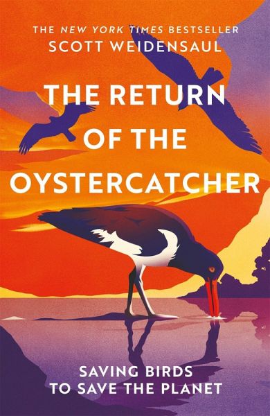 Return of the Oystercatcher, The Return of the Oystercatcher, The