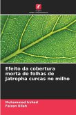 Efeito da cobertura morta de folhas de Jatropha curcas no milho