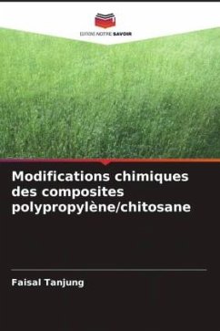 Cover Modifications chimiques des composites polypropylène/chitosane