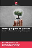 Destaque para as plantas