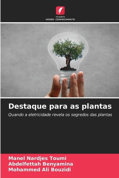 Destaque para as plantas