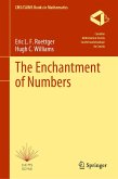 The Enchantment of Numbers (eBook, PDF)