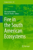 Fire in the South American Ecosystems (eBook, PDF)
