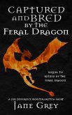 Captured and Bred by the Feral Dragon: A Size Difference Monster Erotica Short (Paranormal Fantasies: Erotic Short Stories, #9) (eBook, ePUB) Captured and Bred by the Feral Dragon: A Size Difference Monster Erotica Short (Paranormal Fantasies: Erotic Short Stories, #9) (eBook, ePUB)