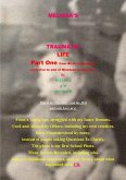 Melissa's Traumatic Life Part 1 (eBook, ePUB)