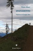 Spaesamento (eBook, ePUB)