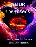 AMOR ENTRE LOS FUEGOS (eBook, ePUB)