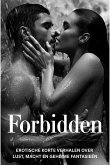 Forbidden - Erotische korte verhalen over lust, macht en geheime fantasieën (eBook, ePUB)
