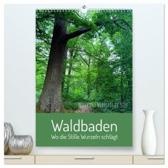 Cover Waldbaden - Wo die Stille Wurzeln schlägt (hochwertiger Premium Wandkalender 2026 DIN A2 hoch), Kunstdruck in Hochglanz
