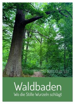 Cover Waldbaden - Wo die Stille Wurzeln schlägt (Wandkalender 2026 DIN A2 hoch), CALVENDO Monatskalender
