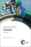 Catalysis (eBook, ePUB)