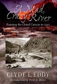 A Mad, Crazy River (eBook, ePUB)