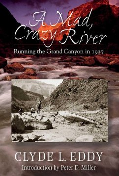 A Mad, Crazy River (eBook, ePUB) Cover A Mad, Crazy River (eBook, ePUB)