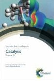 Catalysis (eBook, ePUB)