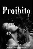 Proibito - Racconti erotici su lussuria, potere e fantasie segrete (eBook, ePUB)